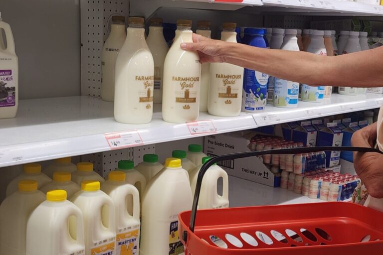 dairy-and-meat-drive-new-zealand-food-prices-up-5-percent-as-cost-pressures-bite