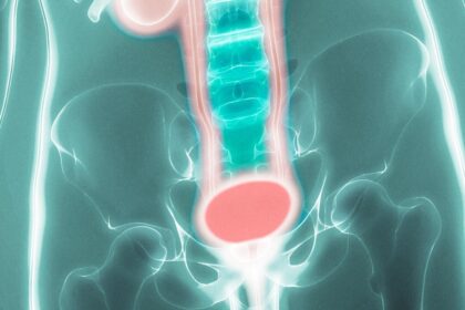 spinal-cord’s-role-in-urination-mapped,-opening-door-to-incontinence-treatments