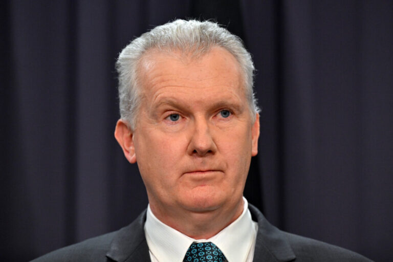 minister-stands-by-albanese-as-australia-israel-tensions-flare