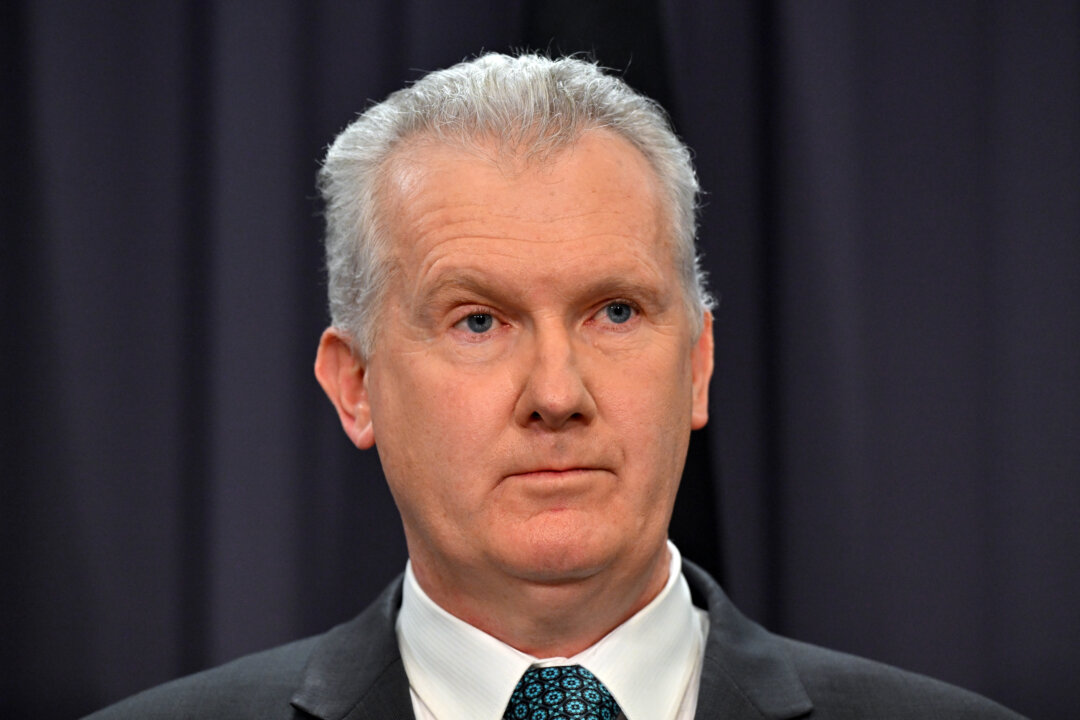 minister-stands-by-albanese-as-australia-israel-tensions-flare