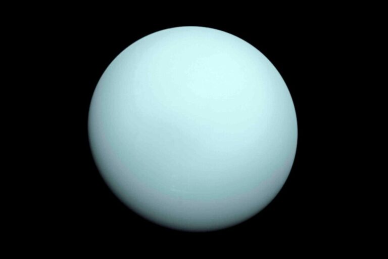 nasa’s-webb-telescope-finds-new-tiny-moon-around-uranus