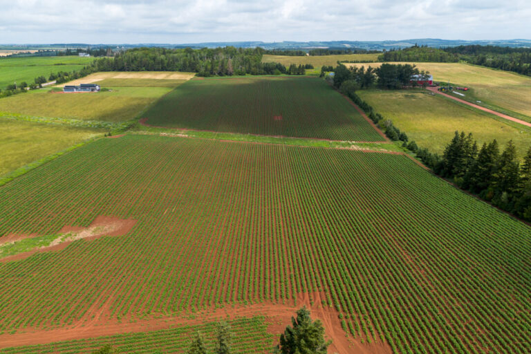 canada’s-foreign-buyer-ban-should-include-our-precious-farmland