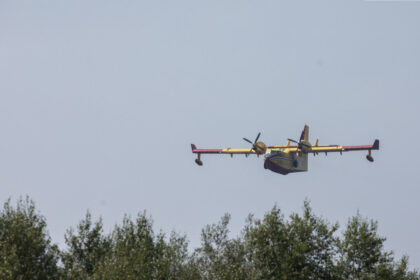 new-brunswick-to-roll-back-most-wildfire-restrictions,-allow-access-to-woods