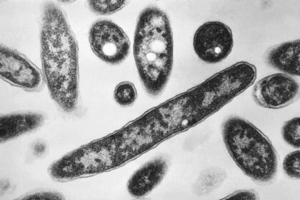 london,-ont.,-health-unit-identifies-source-of-legionnaires’-disease-outbreak