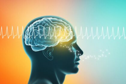 sense-of-smell-can-be-enhanced-with-radio-wave-brain-stimulation