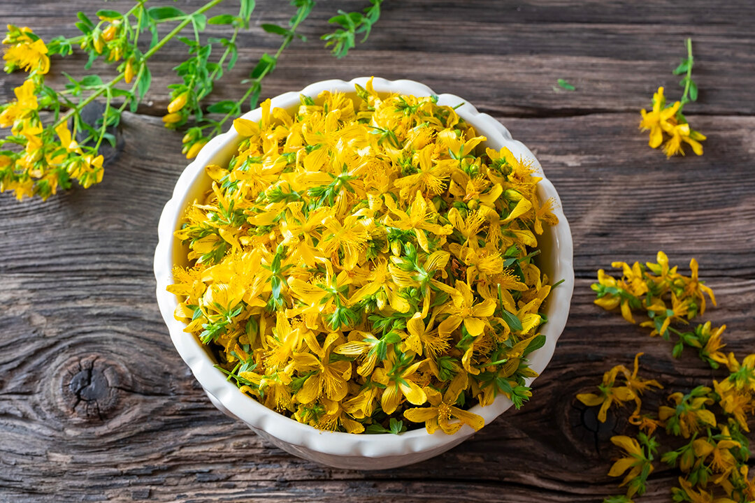 st.-john’s-wort:-a-nonaddictive-wonder-‘antidepressant’-with-fewer-side-effects