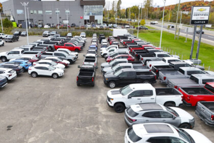 canadians-favouring-hybrids-as-electric-vehicle-sales-decline:-statcan