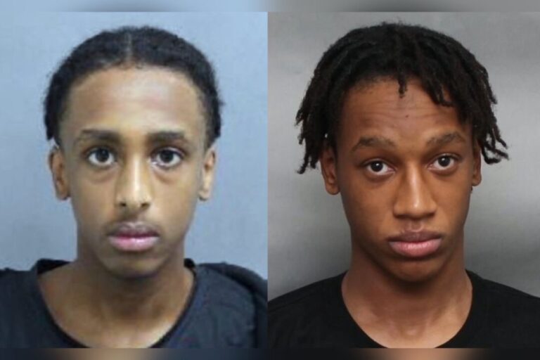 toronto-police-lay-first-degree-murder-charges,-search-for-teen-suspects-after-8-year-old-shot-in-north-york