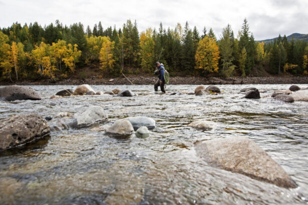 proposed-bc-copper-mine-shows-the-promises-and-obstacles-facing-canada’s-critical-mineral-industry