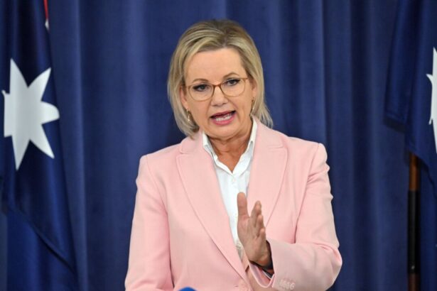 opposition-rejects-labor’s-new-2035-climate-target,-calls-for-costings