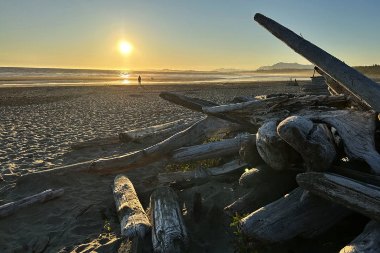 bc-coast-faces-no-tsunami-threat-after-7.8-magnitude-earthquake-near-russia:-emergency-office