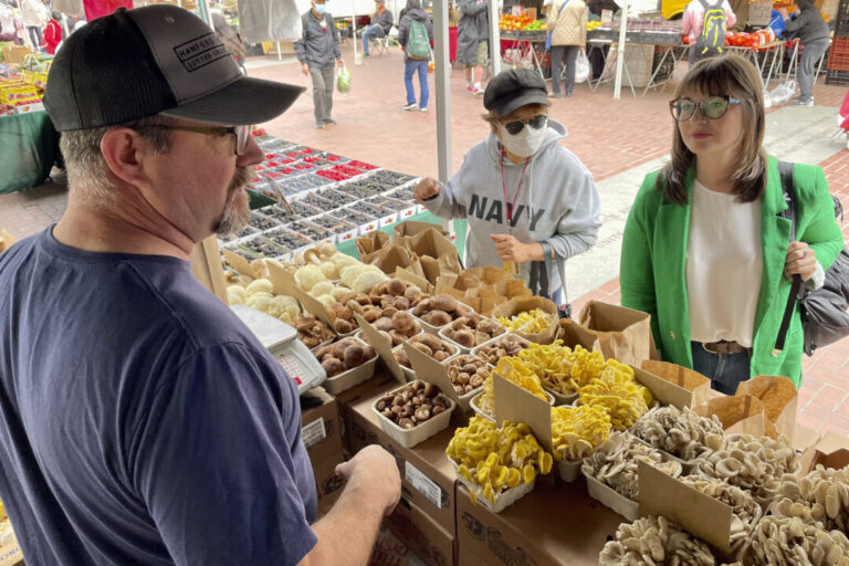 canadian-fresh-mushrooms-the-latest-target-in-us-trade-tensions