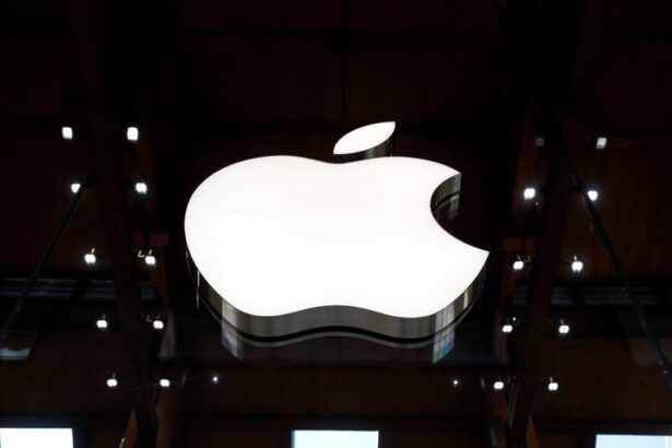 apple-urges-eu-to-revise-tech-laws