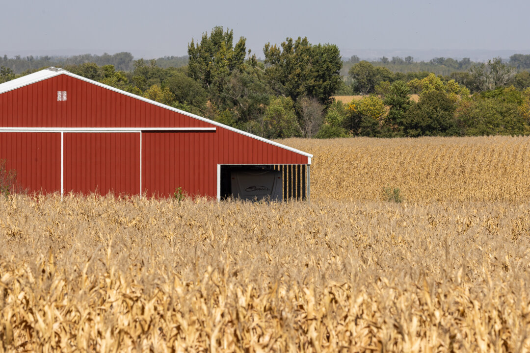us-will-use-tariff-revenue-to-help-farmers:-trump
