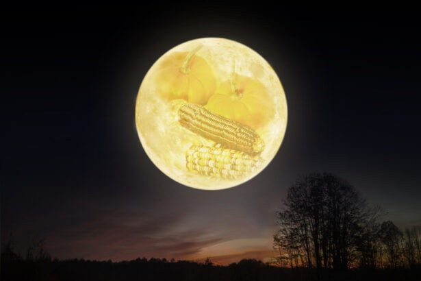 the-full-‘harvest-moon’-in-october-will-be-the-biggest-supermoon-of-2025
