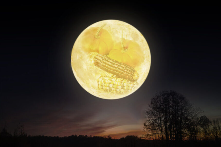 the-full-‘harvest-moon’-in-october-will-be-the-biggest-supermoon-of-2025