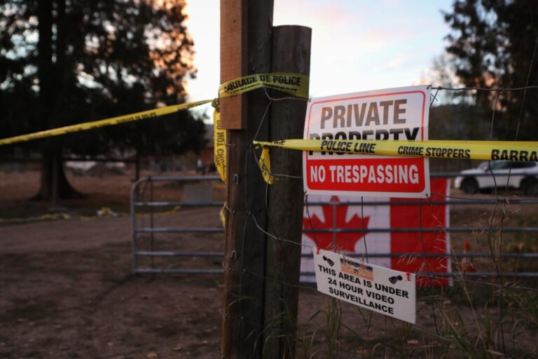 federal-agency-to-feed,-take-charge-of-ostriches-at-bc-farm-after-supreme-court-issues-stay-of-cull-order