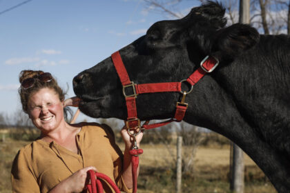 an-alberta-farm-is-home-to-the-world’s-tallest-steer