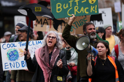new-zealand-considering-law-to-ban-protests-near-private-homes