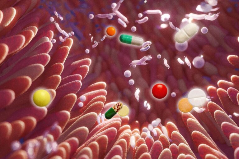 gut-changes-persist-years-after-stopping-certain-medications