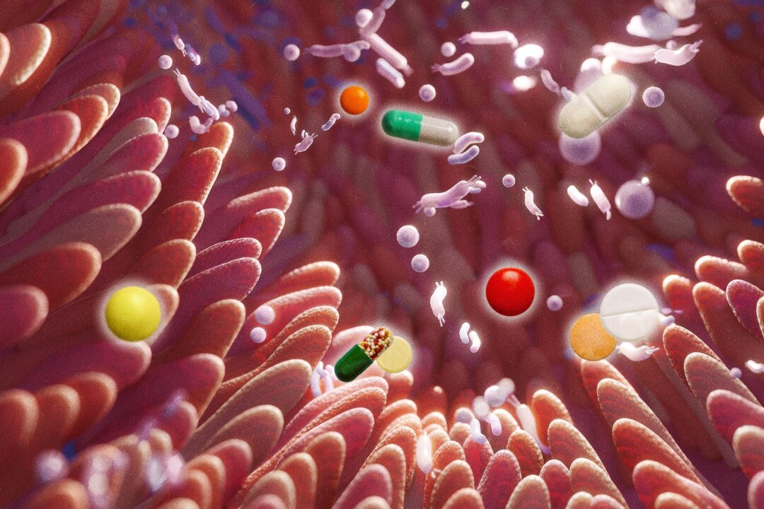 gut-changes-persist-years-after-stopping-certain-medications