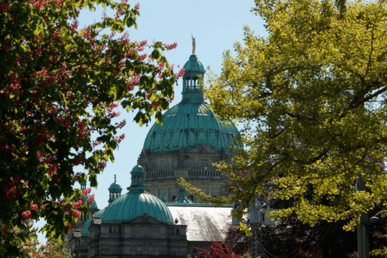 bc-strike-escalates-to-include-about-26,000-public-service-workers,-professionals