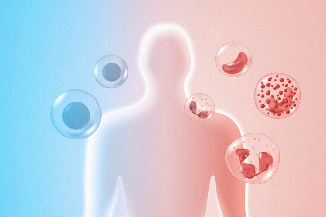 how-this-nobel-discovery-could-transform-autoimmune-and-cancer-treatment