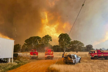 deforestation-can-cause-eight-fold-increase-in-flood-risk,-report-finds