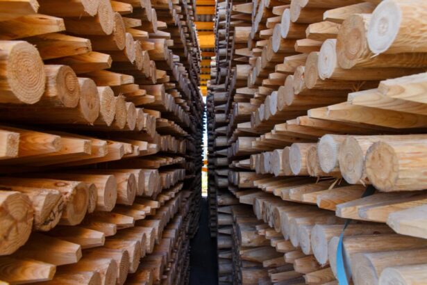 rayonier-and-potlatchdeltic-merge-to-form-second-largest-timber-company-in-north-america