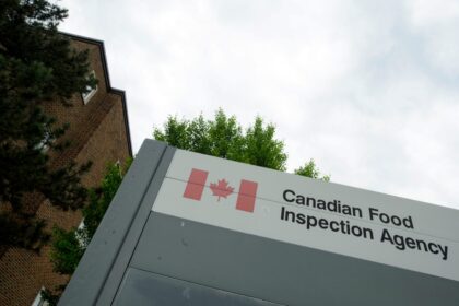 certain-salads-sold-in-western-canada-recalled-for-possible-listeria-contamination