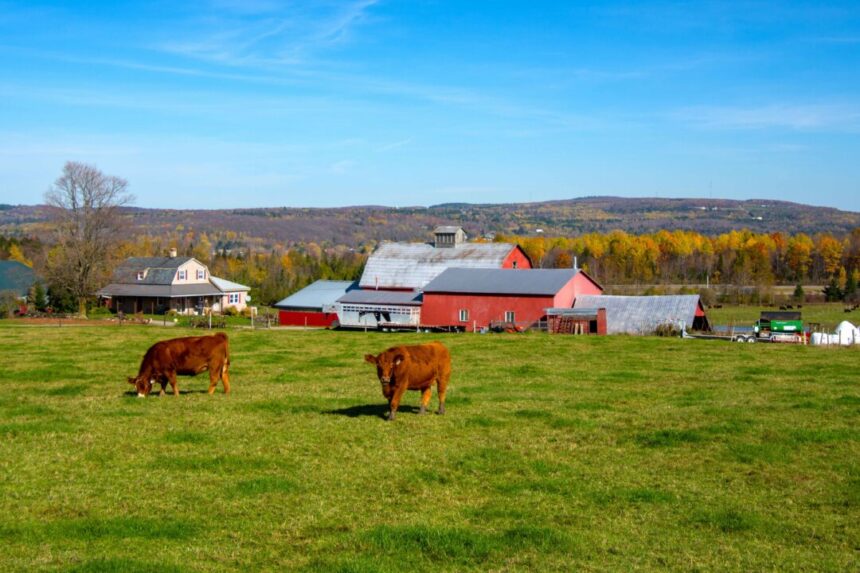 as-china-buys-up-farmland-abroad,-how-is-canada-responding?