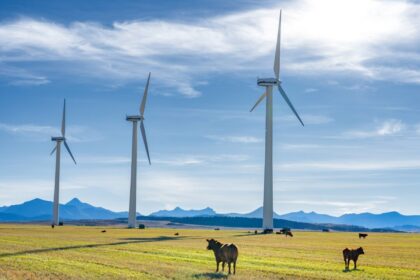 tracing-the-billions-spent-on-net-zero-at-all-levels-of-government-in-canada