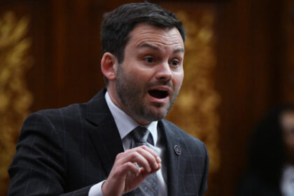 montreal-man-pleads-guilty-to-making-death-threats-against-parti-quebecois-leader