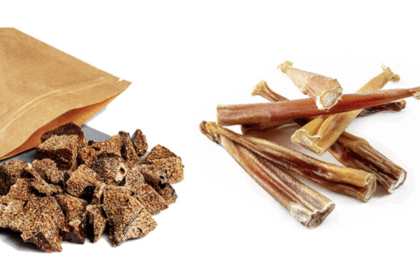 salmonella-outbreak-in-canada-linked-to-dog-treats:-public-health-notice