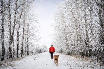 western-and-northern-canada-braces-for-chilly,-snowy-christmas