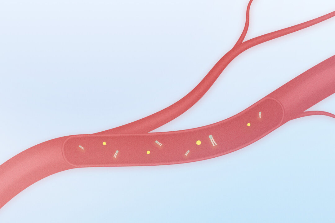 if-you’re-always-tired,-your-blood–and-diet–might-be-to-blame