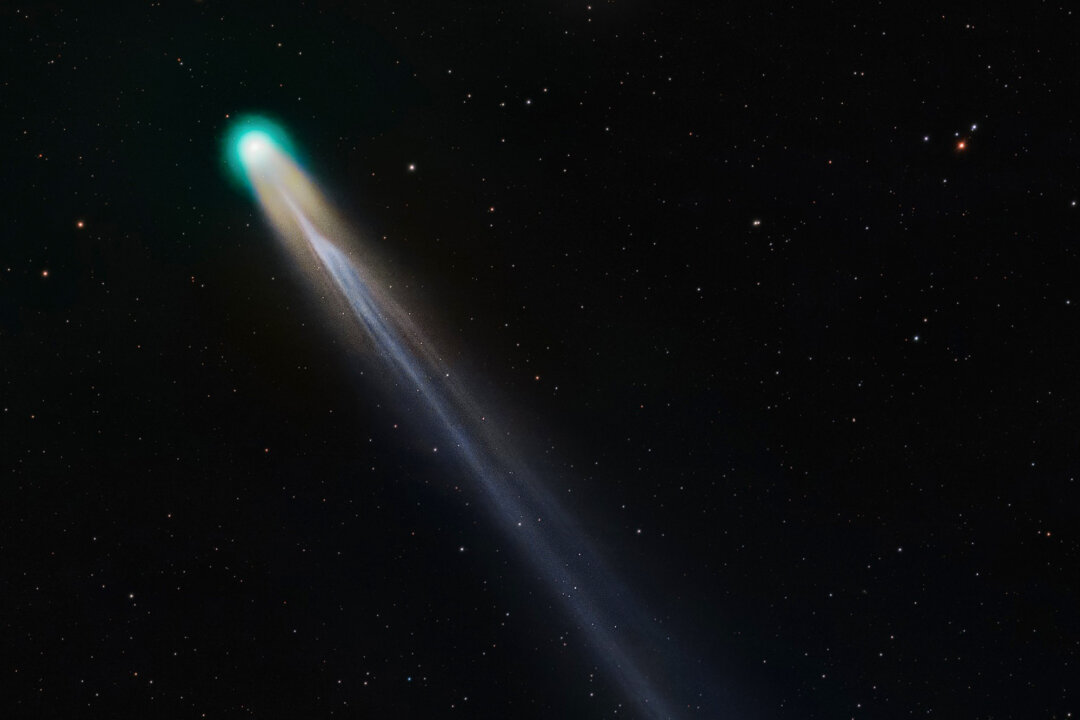 photos:-green-comet-with-blue-tail-travels-by-earth-to-form-spectacular-trio-of-comets-near-sun