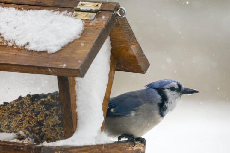 about-20-weather-warnings-in-effect-across-canada-as-rain,-snow,-cold-hammer-country