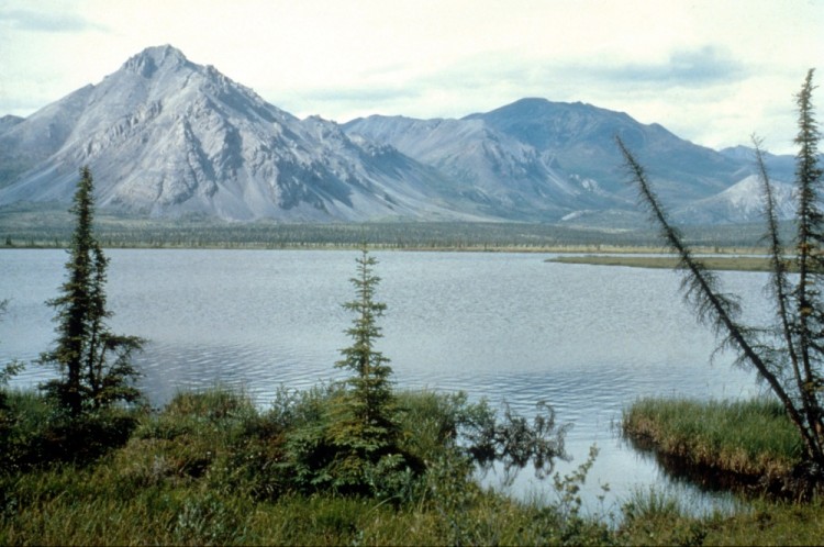trump-admin-reopens-alaska-wildlife-refuge-for-oil,-gas-leasing