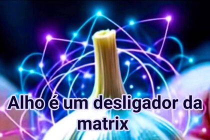 garlic-is-a-matrix-destroyer-and-a-allied-for-humanity-beyond-this-world