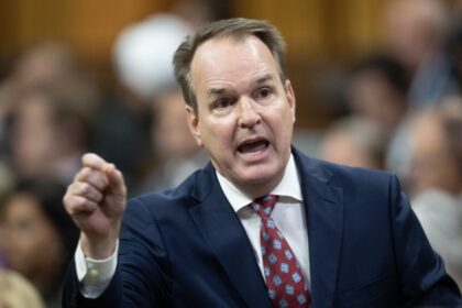 minority-liberals-currently-lack-necessary-votes-to-pass-federal-budget,-house-leader-says