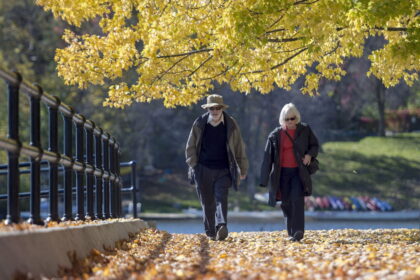 ontario-city-to-fine-homeowners-if-leaves-block-paths