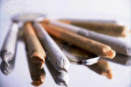 youth-who-use-cannabis-at-early-age-more-likely-to-have-health-problems-as-adults,-mcgill-study-finds