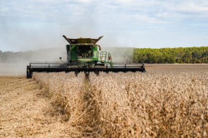 china-agrees-to-buy-25-million-metric-tons-of-us-soybeans-per-year,-bessent-says
