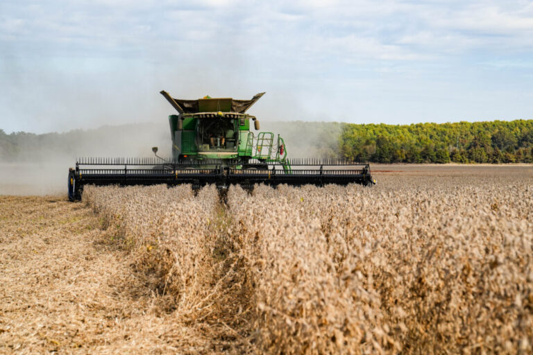china-agrees-to-buy-25-million-metric-tons-of-us-soybeans-per-year,-bessent-says