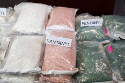 drug-crimes-rose-in-2024-after-12-years-of-trending-downward:-statistics-canada