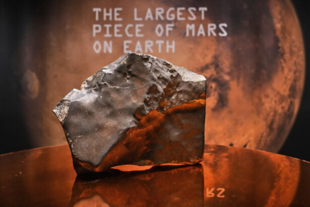 largest-piece-of-mars-on-earth-fetches-$5.3-million-at-auction,-but-young-dinosaur-steals-the-show