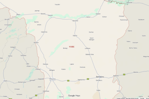 boat-capsizes-in-nigeria’s-yobe-state,-leaving-25-dead-and-14-missing