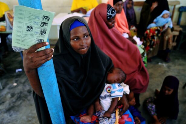 us-pauses-foreign-aid-to-somali-government-amid-fraud-allegations