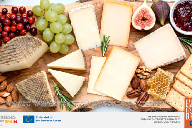 5-‘golden-rules’-to-create-the-perfect-european-cheese-board:-will-you-join-the-challenge?